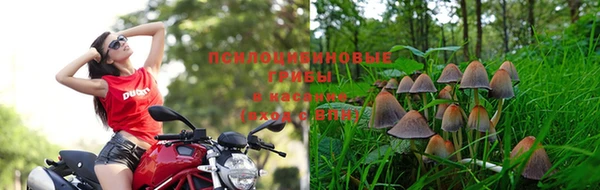 каннабис Алексеевка