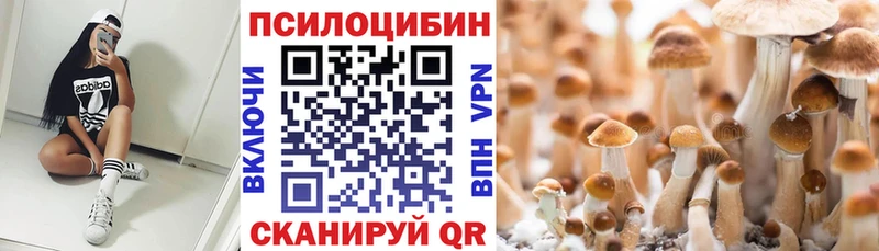Галлюциногенные грибы Magic Shrooms  Полевской 