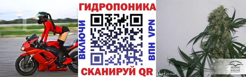 где купить наркоту  Полевской  МАРИХУАНА THC 21% 